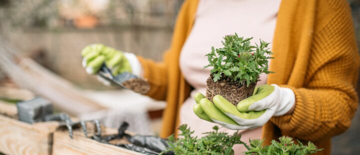 Gardening Journal